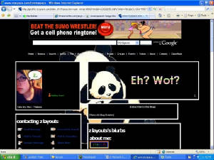 panda.jpg